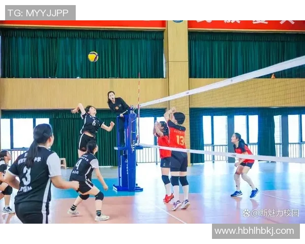 排球专题：聚焦南京排球队的力量